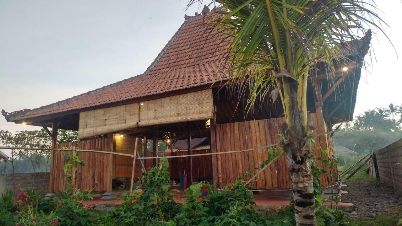 Bali Tiger Hideaway Hotel Pulukan Exterior photo